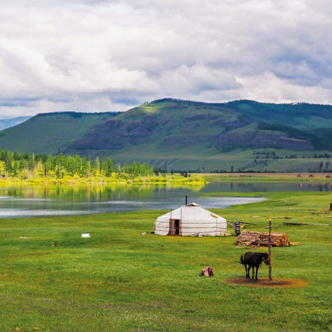 【Mongolia】ESIM Mongolia Internet