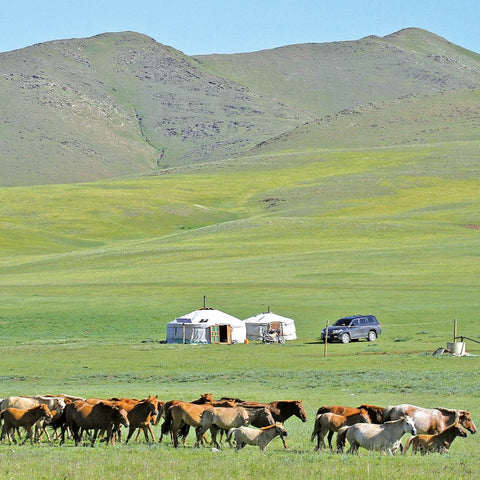 【Mongolia】ESIM Mongolia Internet