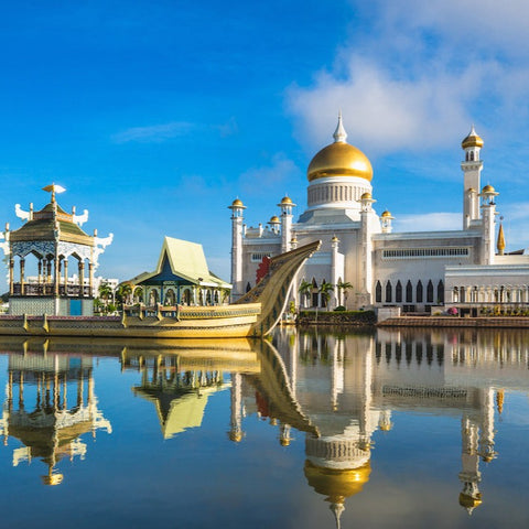 【Brunei】ESIM Brunei Internet